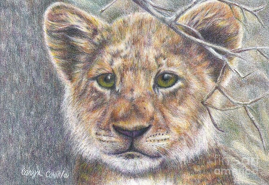 Lion Cub Drawing By Caryn Coville Pixels