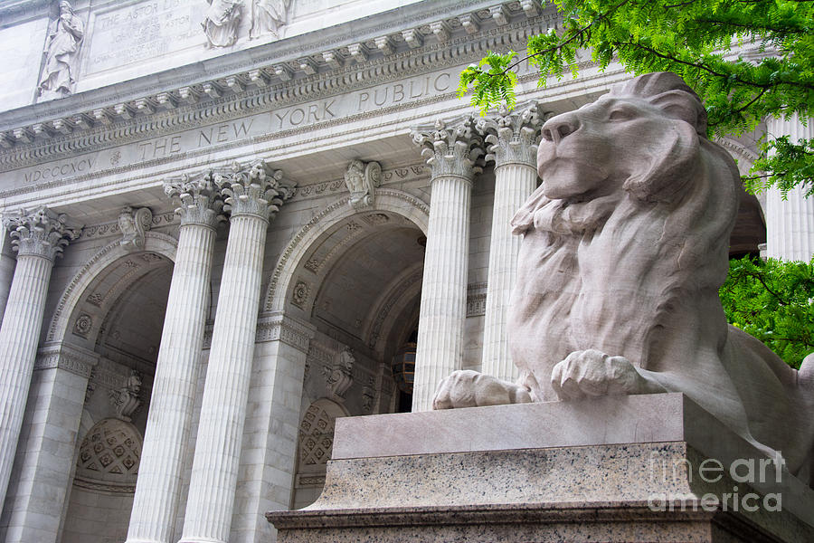 Architecture Photograph - Lion New York Public Library #3 by Amy Cicconi