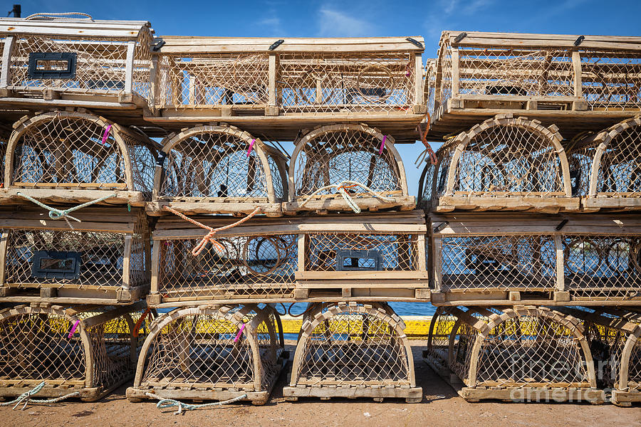 Lobster Traps Photograph - Lobster Traps 3 by Elena Elisseeva Lobster Traps Photograph - Lobster Traps 3 by Elena Elisseeva