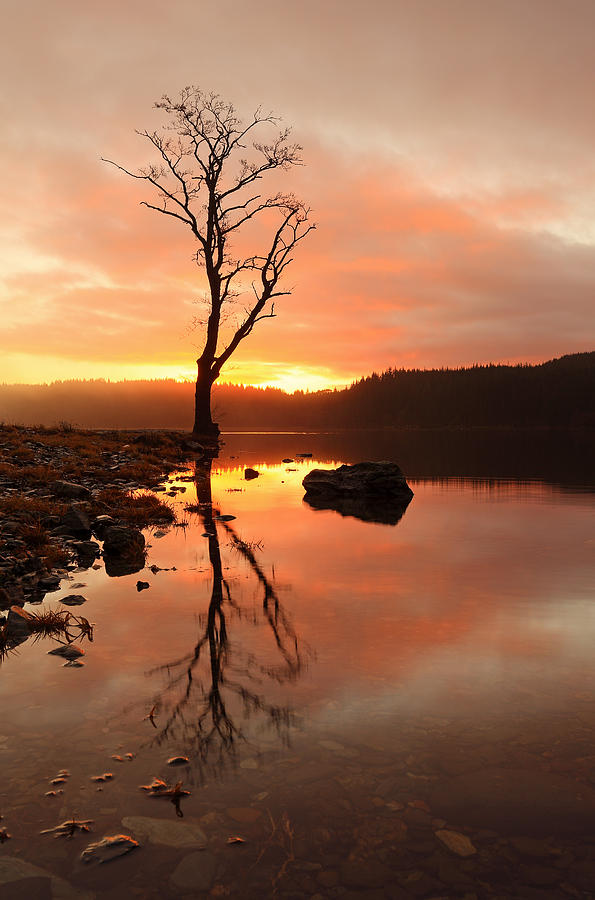 Loch Ard Sunrise #3 Photograph by Grant Glendinning