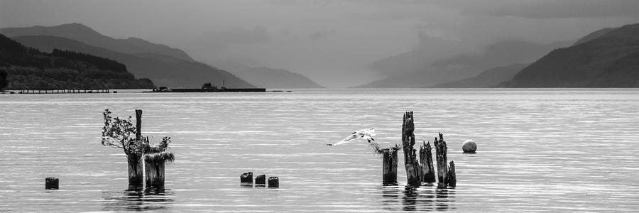 Loch Ness from Dores #3 Photograph by Veli Bariskan