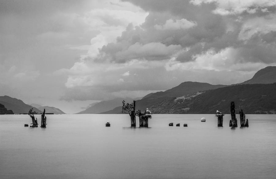 Loch Ness from Dores Photograph by Veli Bariskan