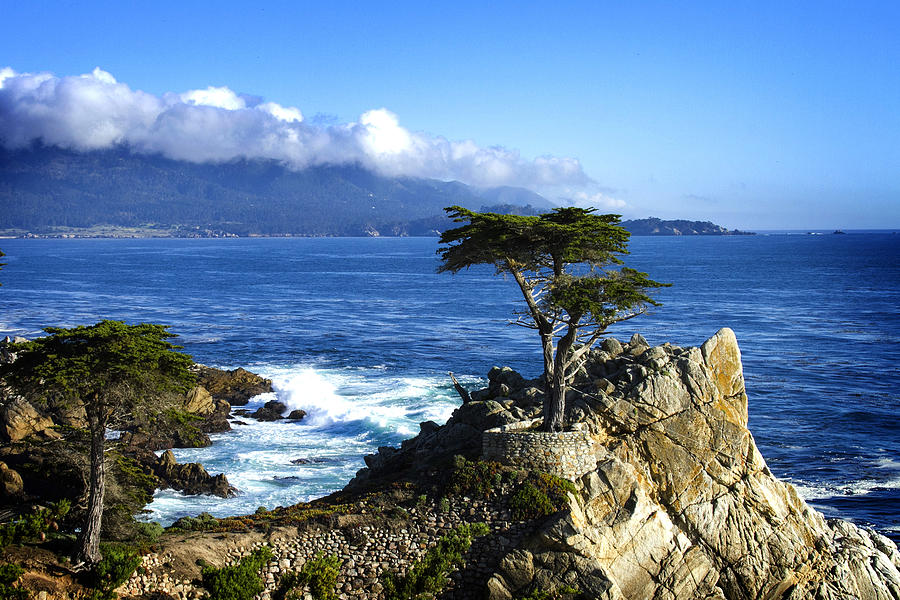 Landscape Photograph - Lone Cypress #3 by Leon Chang