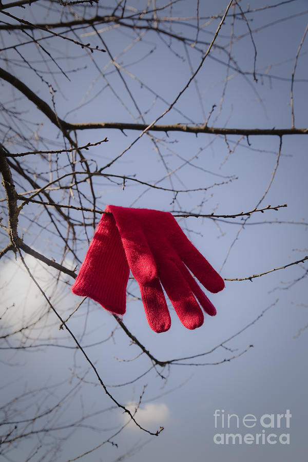 Lost Glove #3 Photograph by Maria Heyens