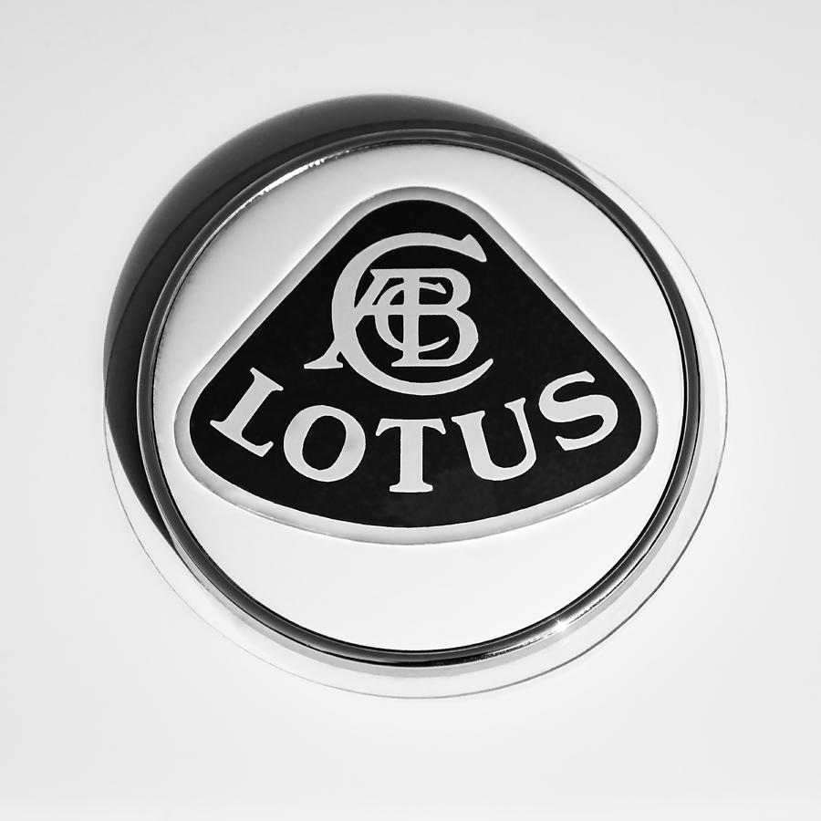 Lotus Emblem #3 Photograph by Jill Reger