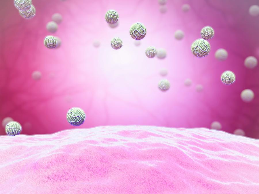 Low-density Lipoproteins #3 Photograph by Maurizio De Angelis