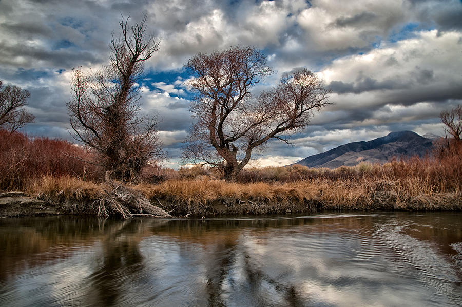 Lower Owens River #3 Photograph by Cat Connor