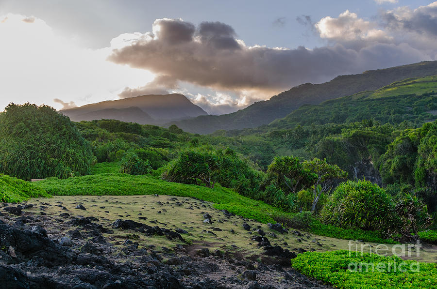 Lush tropical valley on the Road to Hana Maui Hawaii USA #3 Photograph by Don Landwehrle