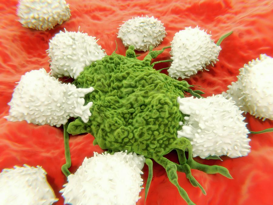 Lymphocytes And Cancer Cell #3 Photograph by Juan Gaertner