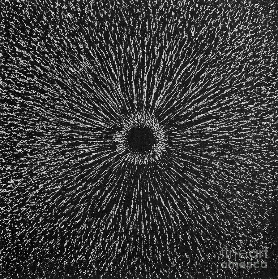 Magnetic Field, Magnetism #3 Photograph by Science Source