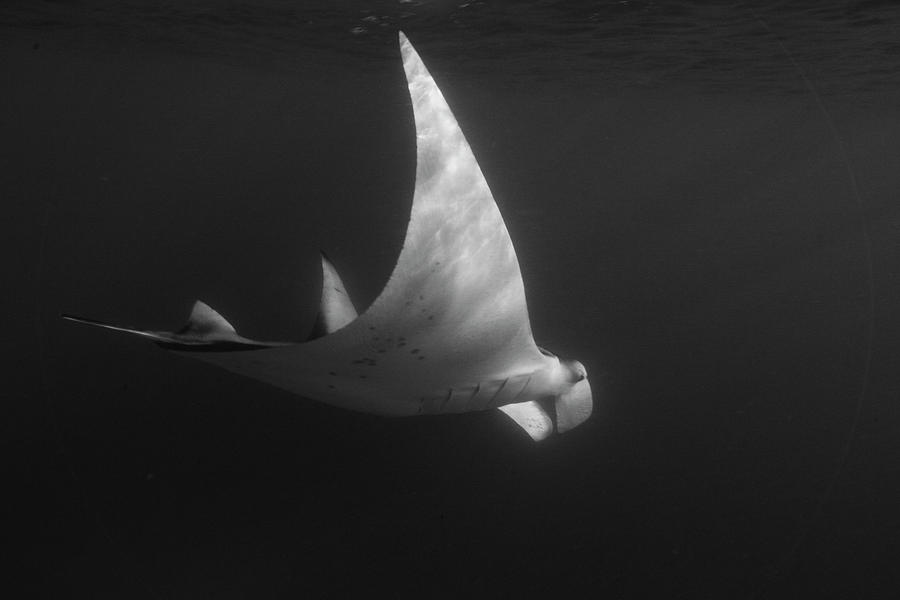 Maldives Atolls In The Indian Ocean Photograph by Maya de Almeida ...