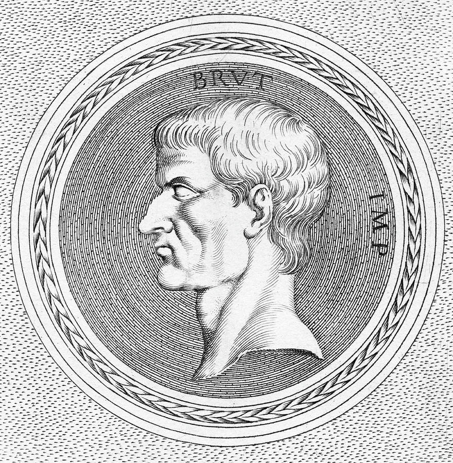 brutus from julius caesar drawing