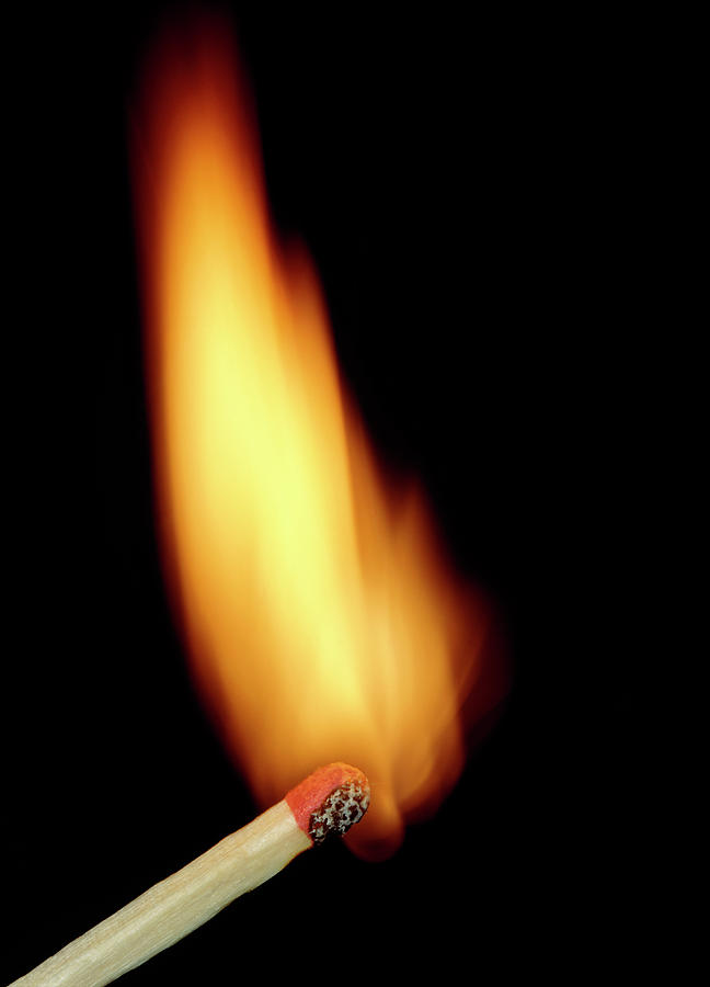 Match Photograph - Match Bursting Into Flame #3 by Adam Hart-davis/science Photo Library