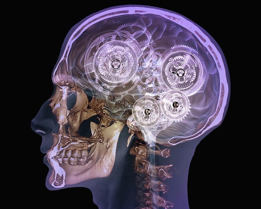 Mechanical Brain Photograph by Zephyr/science Photo Library