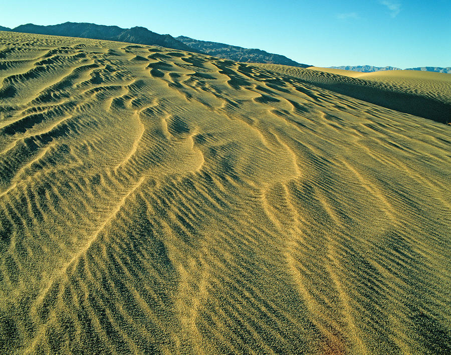 Mesquite Flat Sand Dunes Photograph by Gary Hromada - Fine Art America