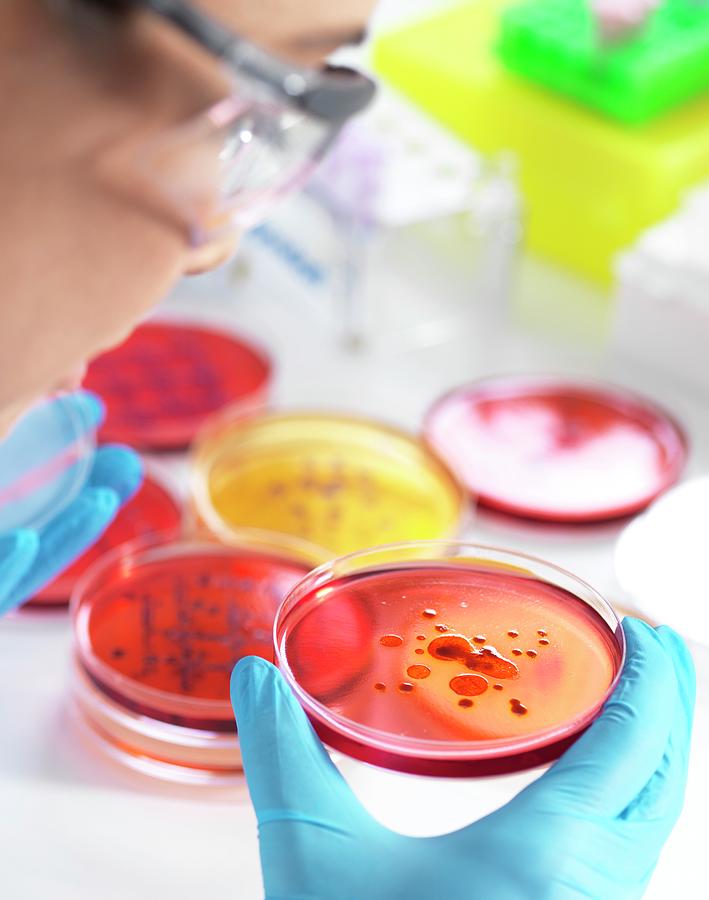 Microbiological Research Photograph by Tek Image/science Photo Library ...