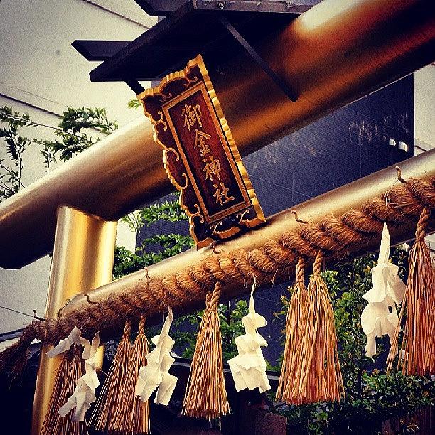 Beautiful Photograph - Mikane Shrine  御金神社 #3 by My Senx