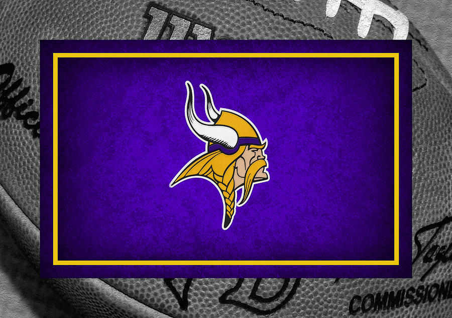 Minnesota Vikings Photograph by Joe Hamilton - Fine Art America