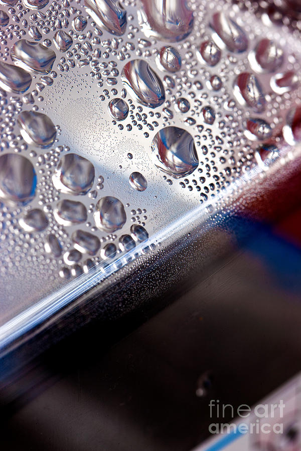 Moisture Droplets #3 Photograph by Charlotte Raymond