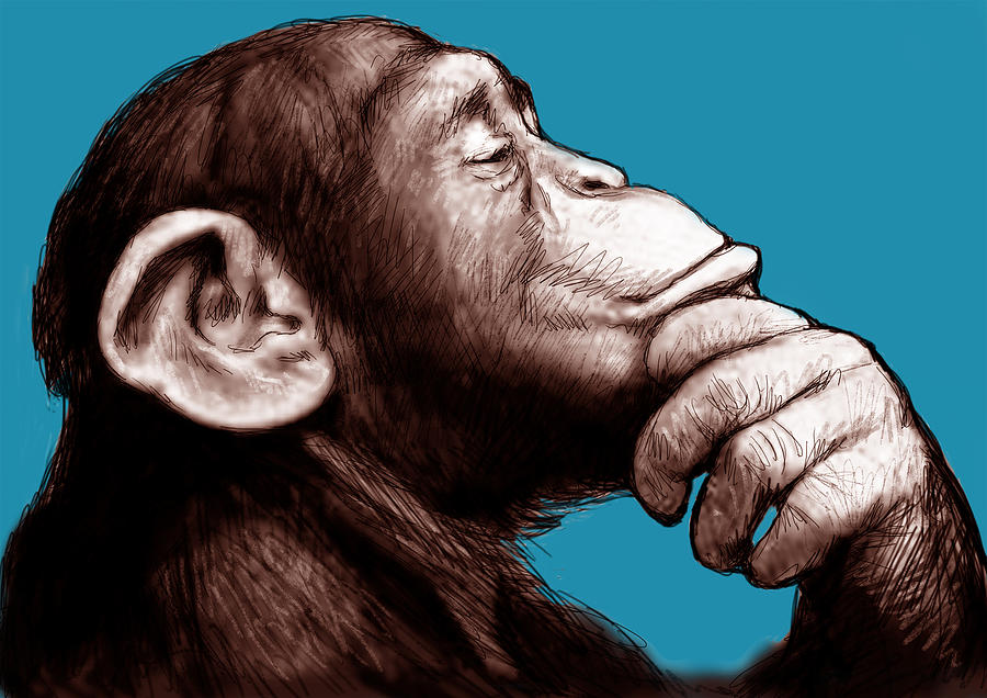 Portrait  - Monkey - stylised drawing art poster #3 by Kim Wang