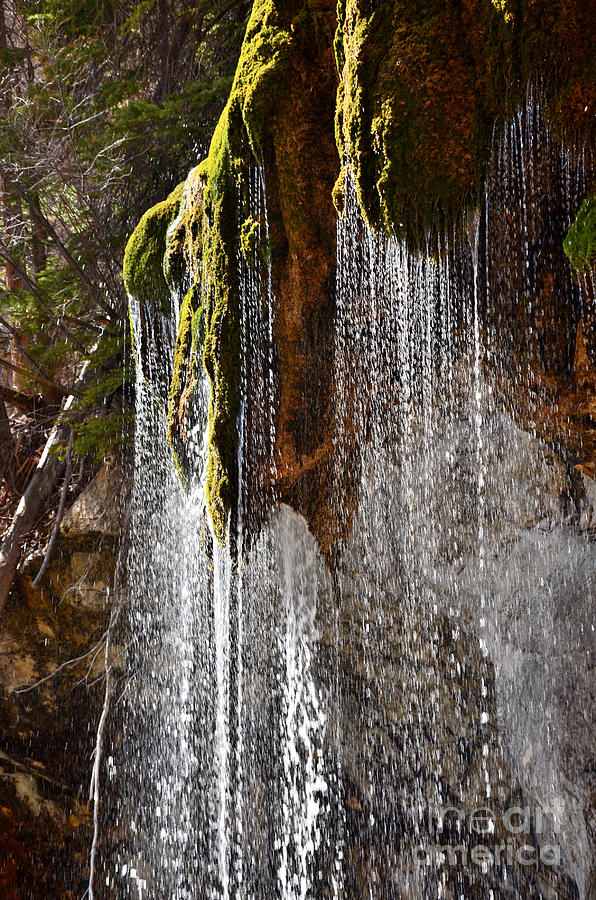 Waterfall Photograph - Mossy Waterfall #3 by Coryanthes Linaya
