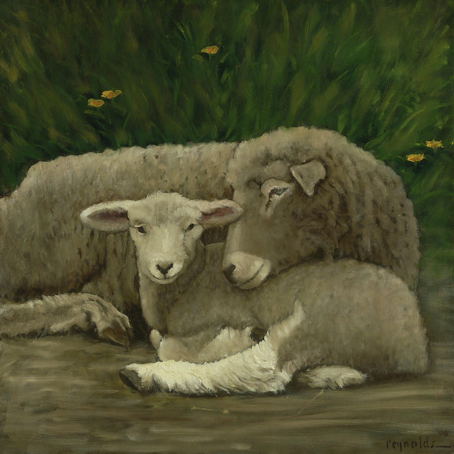 Sheep Painting - Mother And Lamb #3 by John Reynolds