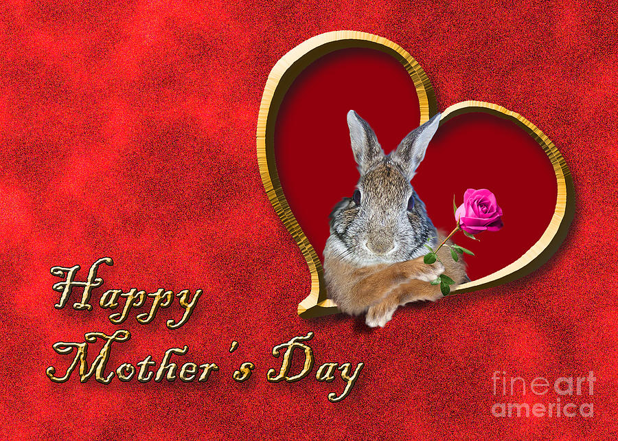 Candy Photograph - Mothers Day Bunny Rabbit #3 by Jeanette K