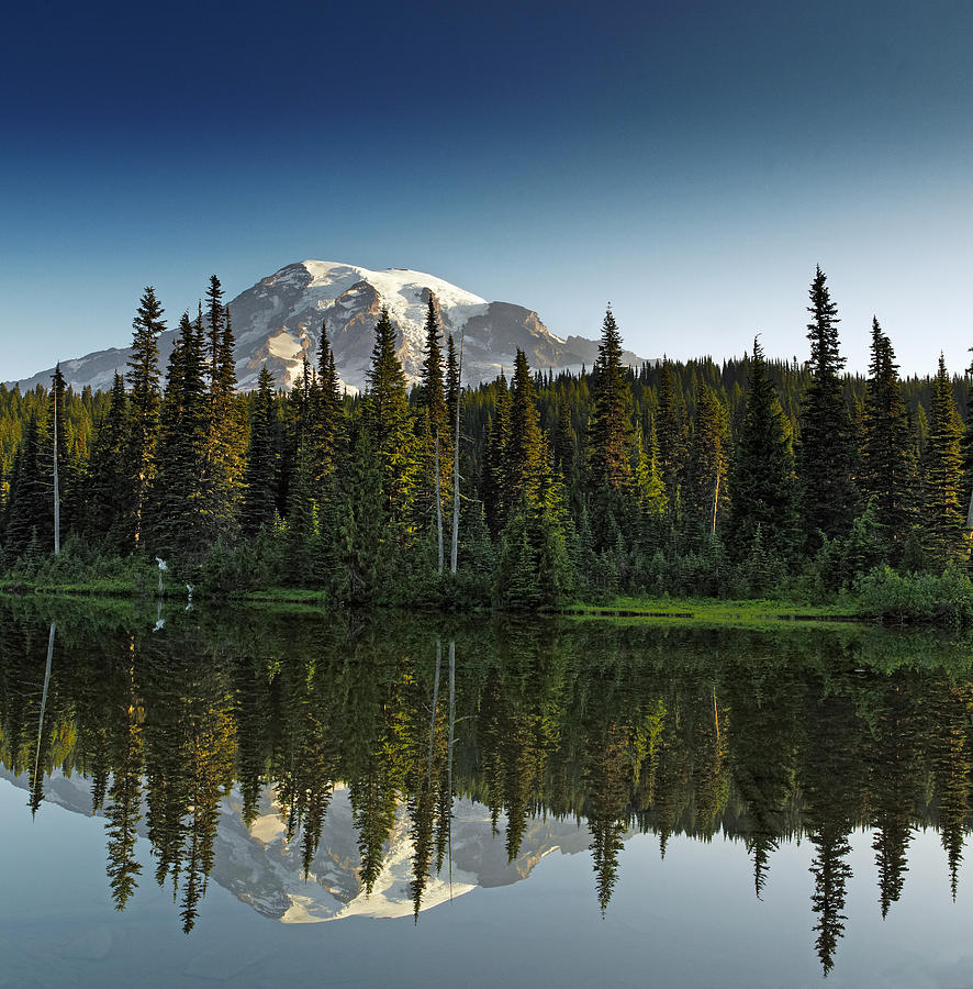 Mount Rainier National Park - Washington #1 Photograph by Brendan Reals