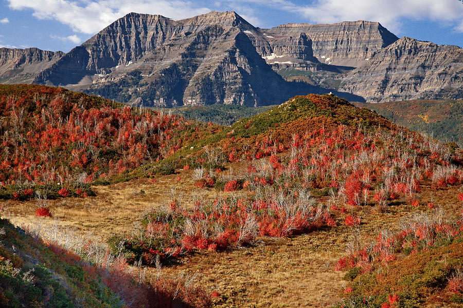 Fall Photograph - Mount Timpanogos #3 by Douglas Pulsipher