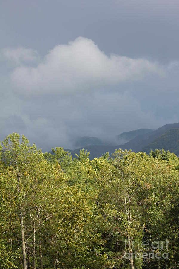 Mountain Mist Great Smoky Mountains by Cynthia Mask Mountain Mist Great Smoky Mountains by Cynthia Mask