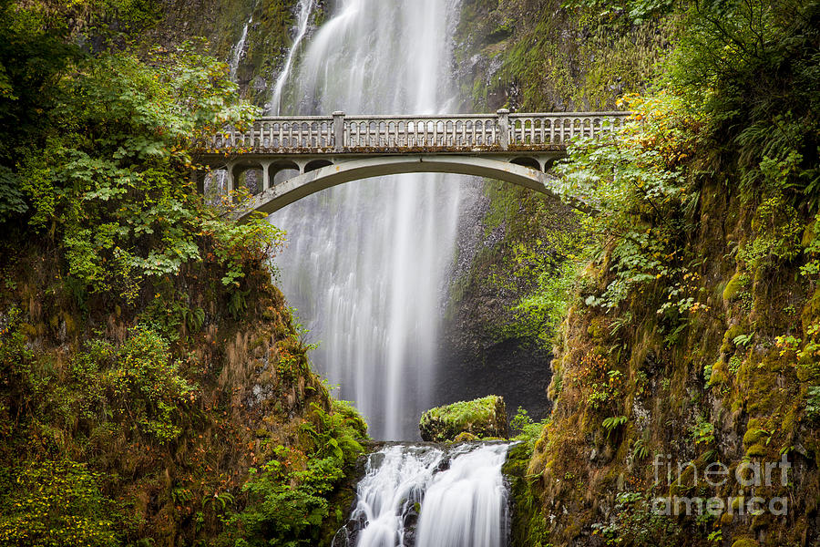 Multnomah Falls - Oregon Photograph by Brian Jannsen