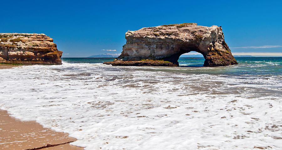 Natural Bridges State Beach in Santa Cruz California. 3