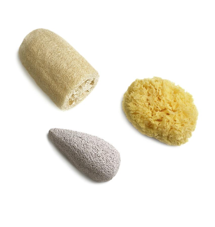 Natural Sponge #3 Photograph by Science Photo Library
