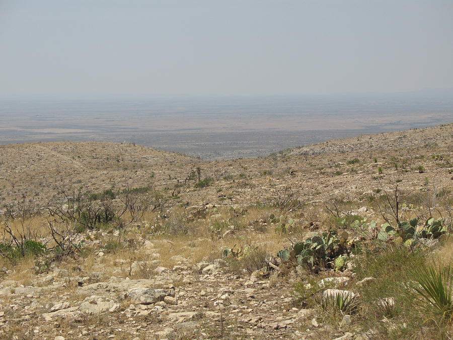 New Mexico Landscape Photograph