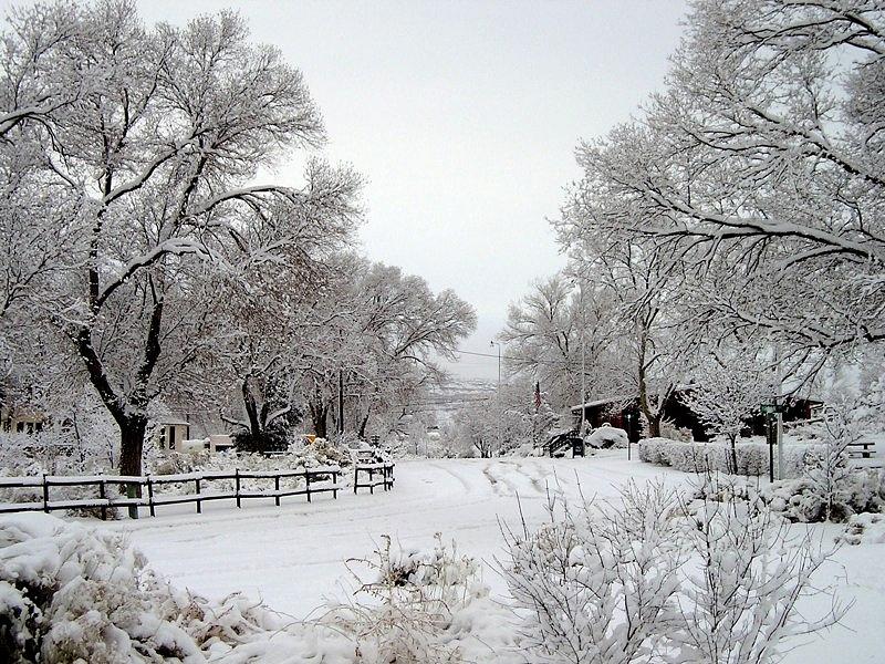 New Mexico Snow Photograph by Alan Pearson Fine Art America