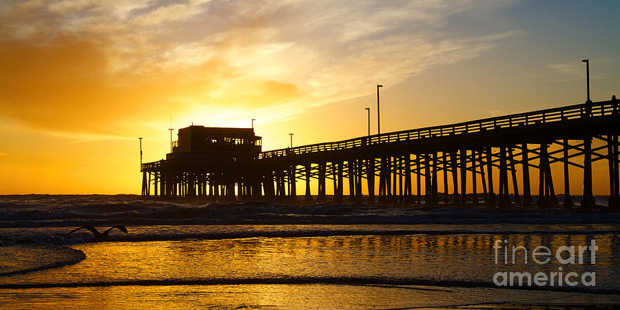 Newport Beach California Pier at Sunset in the Golden Silhouette #3 Photograph by ELITE IMAGE photography By Chad McDermott