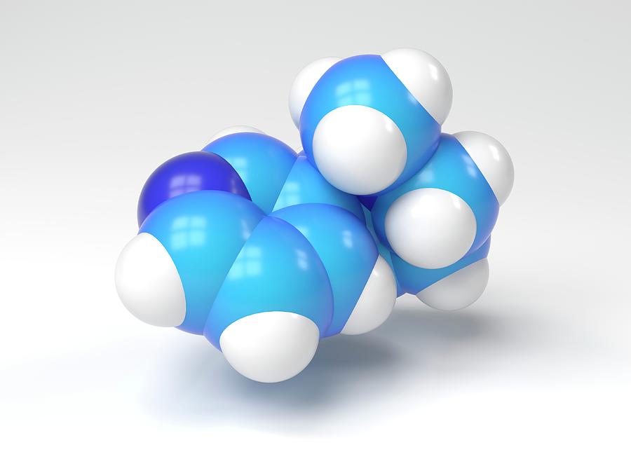 Alkaloid Photograph - Nicotine Molecule #3 by Indigo Molecular Images