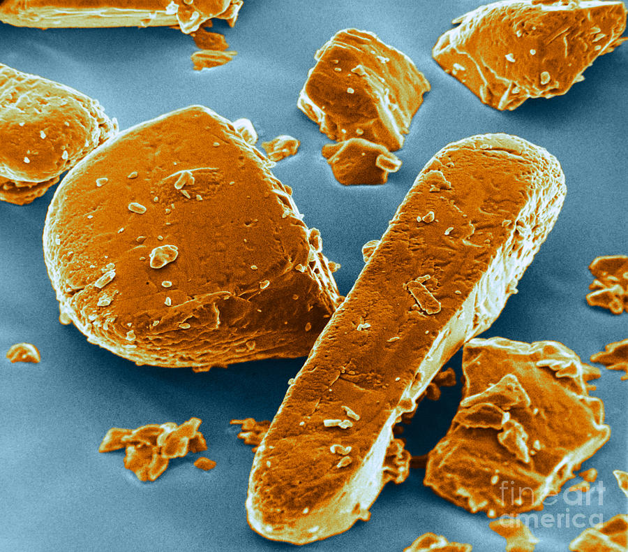Norgestrel Crystals, Sem #3 Photograph by David M. Phillips