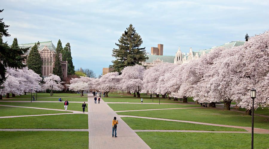 North America, USA, Washington, Seattle #3 Photograph by Charles ...