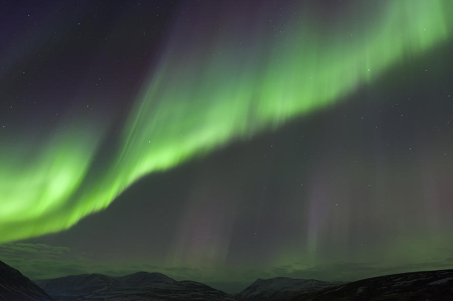 Northern Lights #3 Photograph by John Shaw