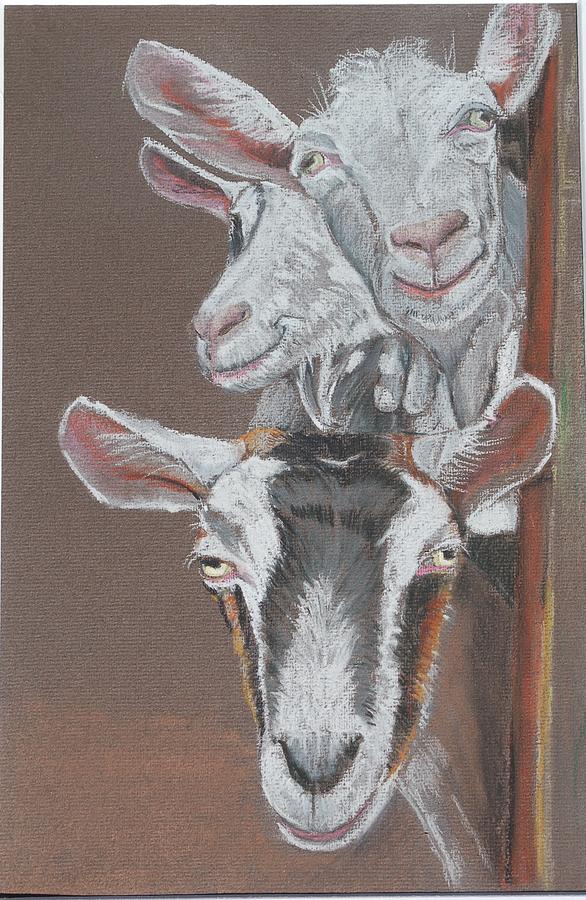 3 Nosey Goats Pastel by Teresa Smith