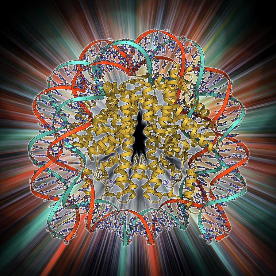 Nucleosome Molecule Photograph by Laguna Design - Fine Art America