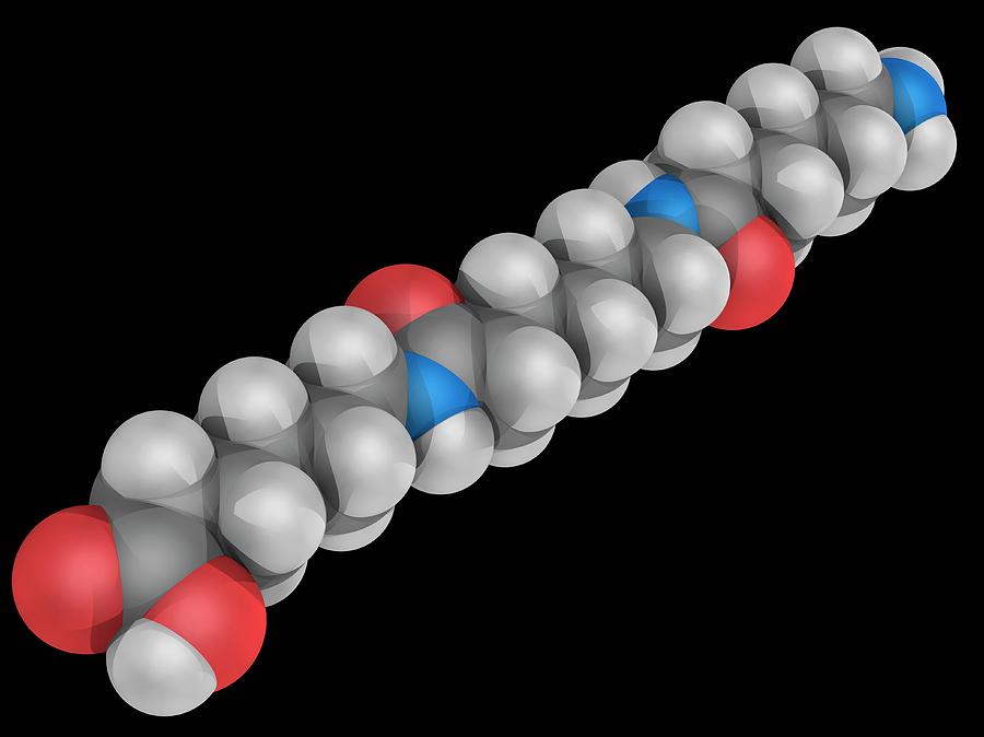 Illustration Photograph - Nylon Molecule #3 by Laguna Design/science Photo Library