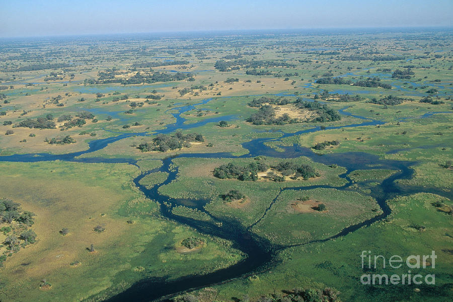 Okavango Delta #3 Photograph by Gregory G. Dimijian, M.D.