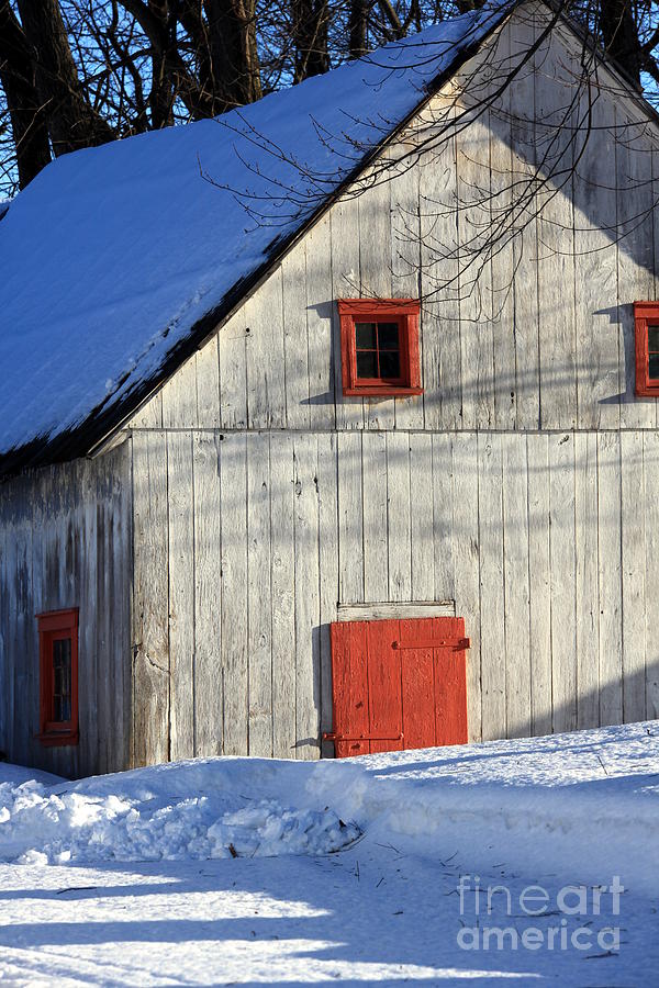 Old Barn in Winter Photograph by Sophie Vigneault | Fine Art America