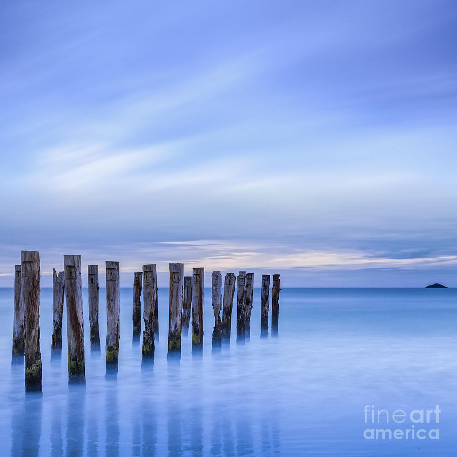 Beauty Photograph - Old Jetty Pilings Dunedin New Zealand by Colin and Linda McKie