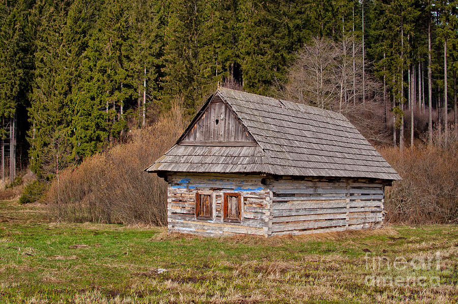 Old log home #3 Photograph by Les Palenik