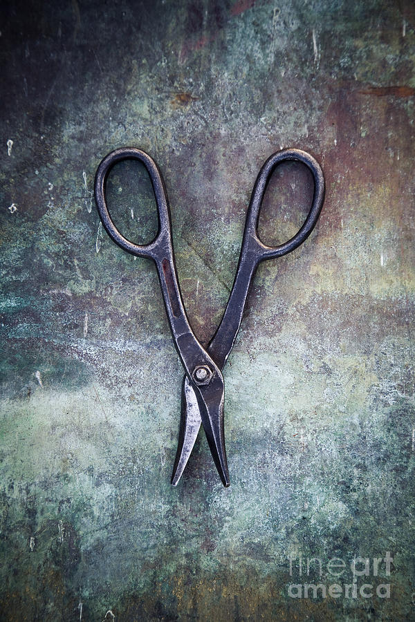 Old scissors #3 Photograph by Maria Heyens