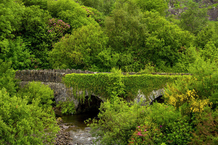 Old Stone Bridges In Ireland #3 Photograph by David Epperson