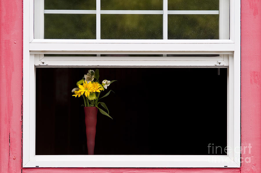 Open Window With Yellow Flowers in Vase Photograph by Jim Corwin